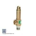 خرید شیر اطمینان سه راهی ایتالیا